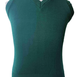 Genius Plain Green Pull Over
