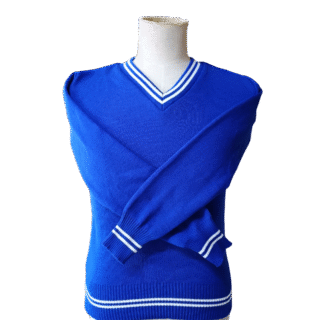 Prof Royal Blue and White Striped Jersey - Unisex
