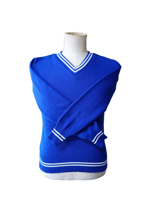 Prof Royal Blue and White Striped Jersey - Unisex
