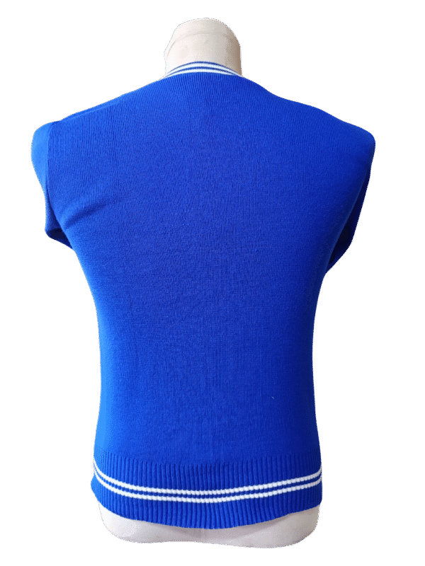 Prof Royal Blue and White Striped Jersey - Unisex - Image 2