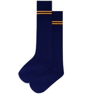 Prof Ankle School Socks: Navy and Gold Striped