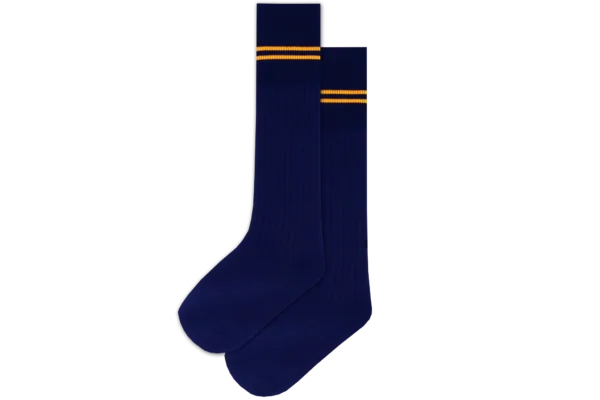 Prof Ankle School Socks: Navy and Gold Striped