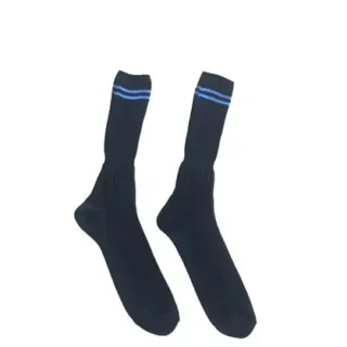Prof Long School Socks: Navy and Sky Striped