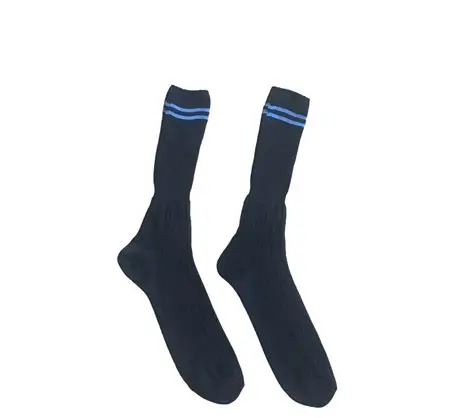 Prof Long School Socks: Navy and Sky Striped