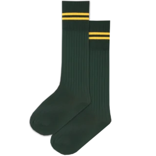 Prof Long School Socks: Green and Gold Striped