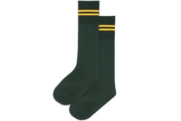Prof Long School Socks: Green and Gold Striped