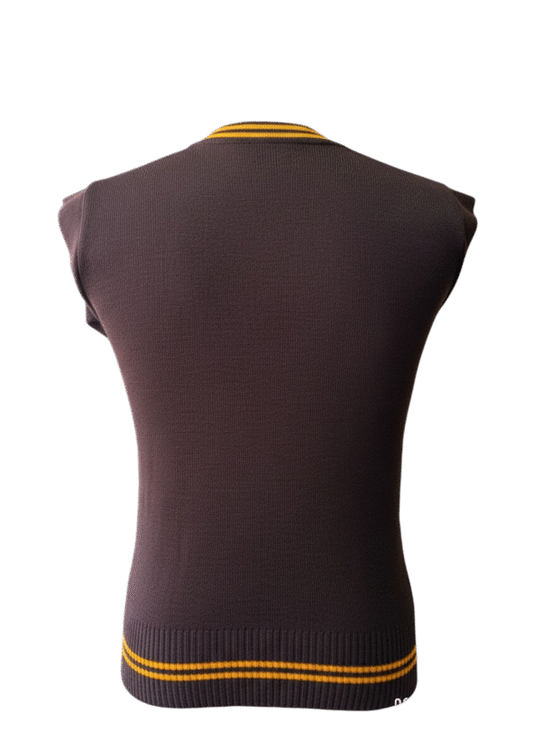Prof Brown and Gold Striped Long Sleeve Jersey- Unisex - Image 2