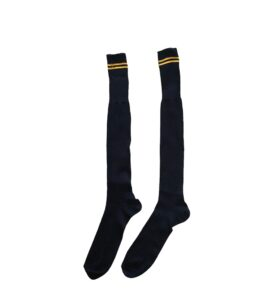 Prof School Long Socks in Black and Gold