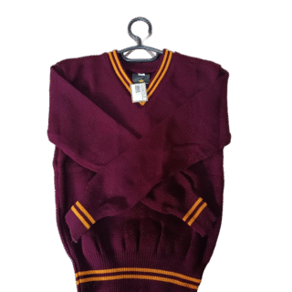 Prof Maroon and Gold Striped Jersey - Unisex