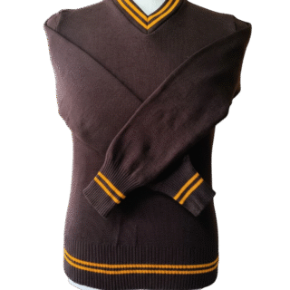 Prof Brown and Gold Striped Long Sleeve Jersey- Unisex