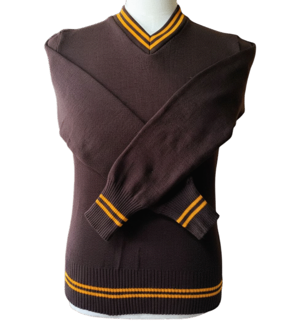 Prof Brown and Gold Striped Long Sleeve Jersey- Unisex