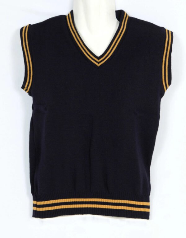 Navy and Gold School Pullover by Prof Cheapest Price Best Quality