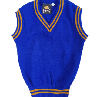 Royal and Gold School Pullover by Prof Cheapest Price Best Quality