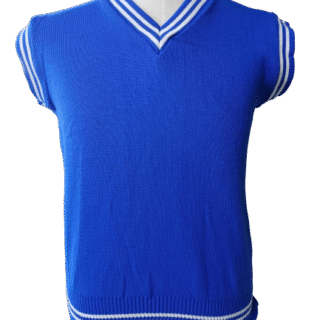 Genius Royal Blue And White Pullover