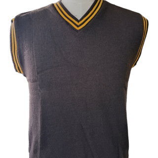 Genius Brown And Gold School Pull Over