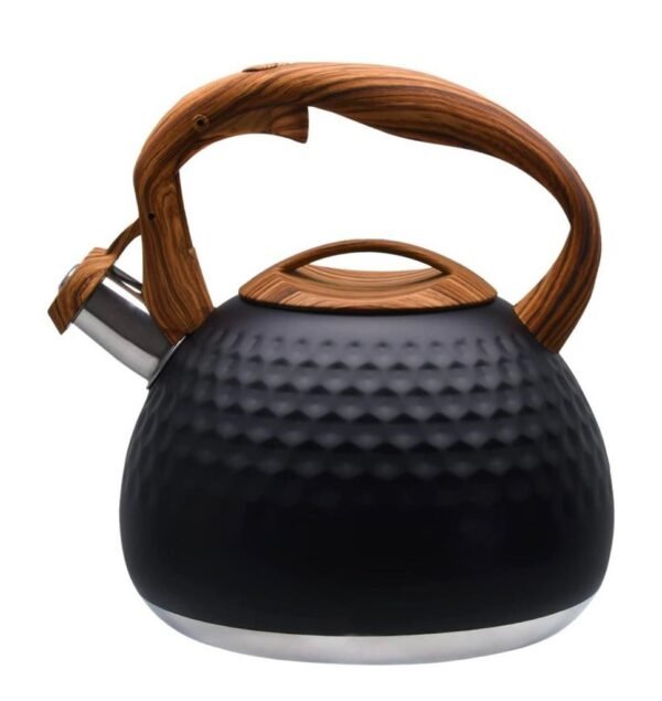 Stainless Steel Whistling Kettle