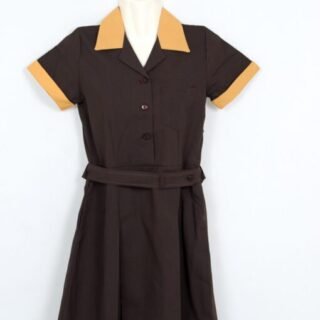 Brown and Gold Pleated tunic uniform