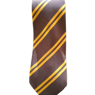 Brown And Gold School tie