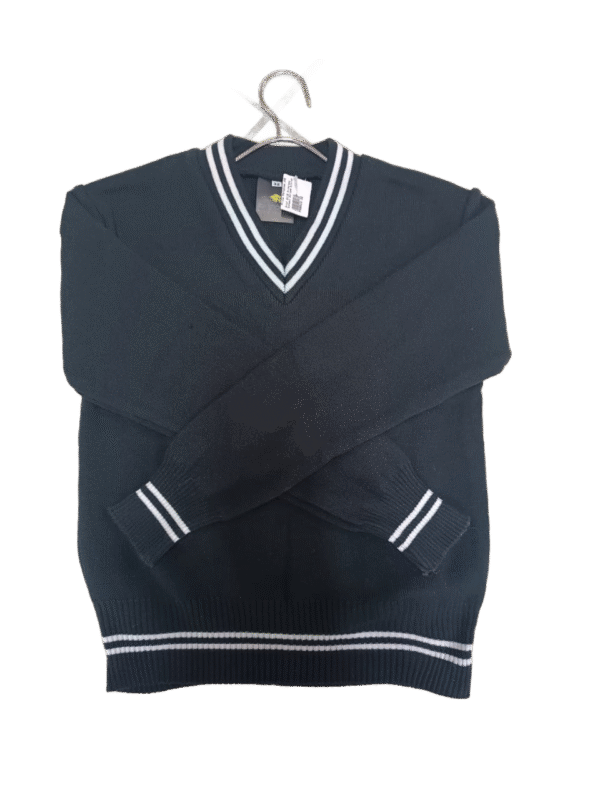 Prof Black and White Striped Jersey - Unisex
