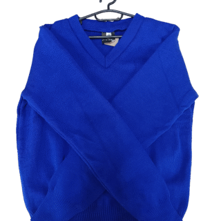 Prof Royal Blue Jersey