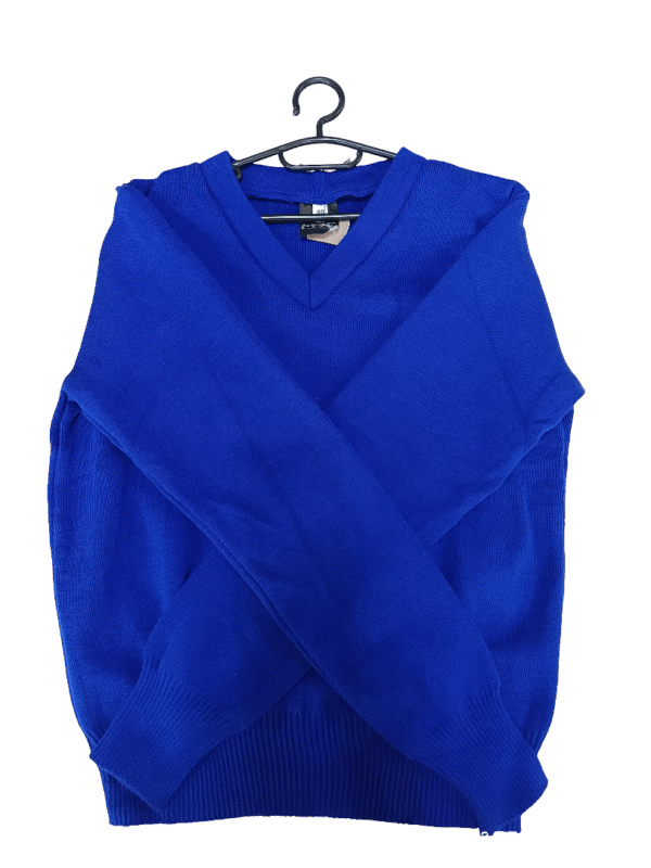 Prof Royal Blue Jersey