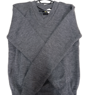 Prof plain Grey School Jersey