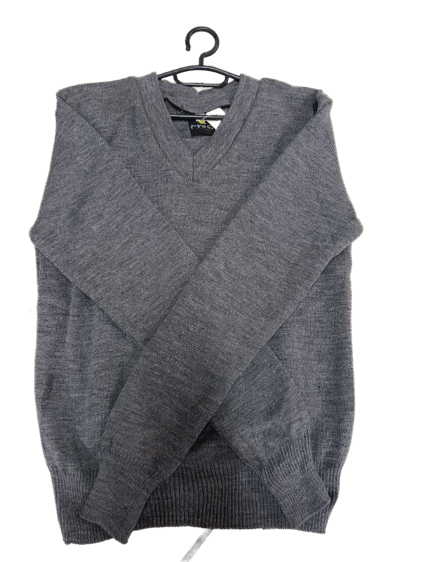 Prof plain Grey School Jersey