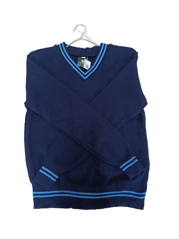 Prof Sky and Navy Striped Long Sleeve School Jersey - Unisex