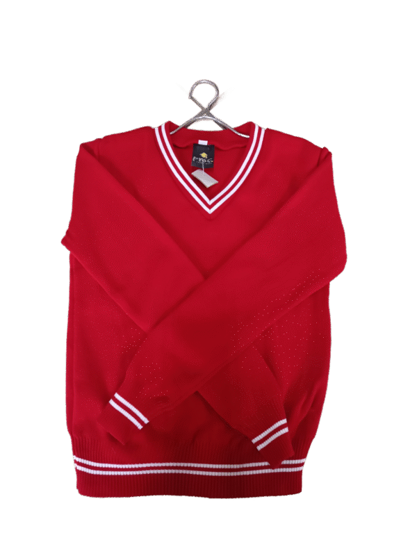 Prof Red and White Striped Jersey - Unisex