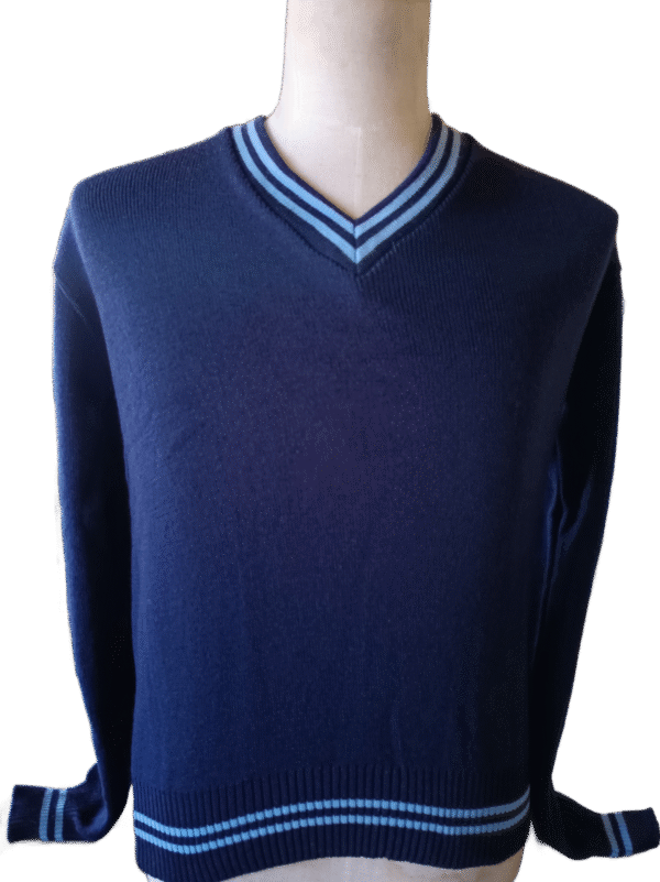 Genius Navy and Sky Striped Long Sleeve School Jersey - Unisex