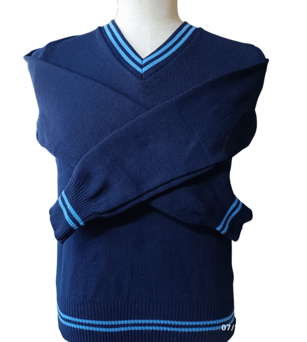 Prof Sky and Navy Striped Long Sleeve School Jersey - Unisex
