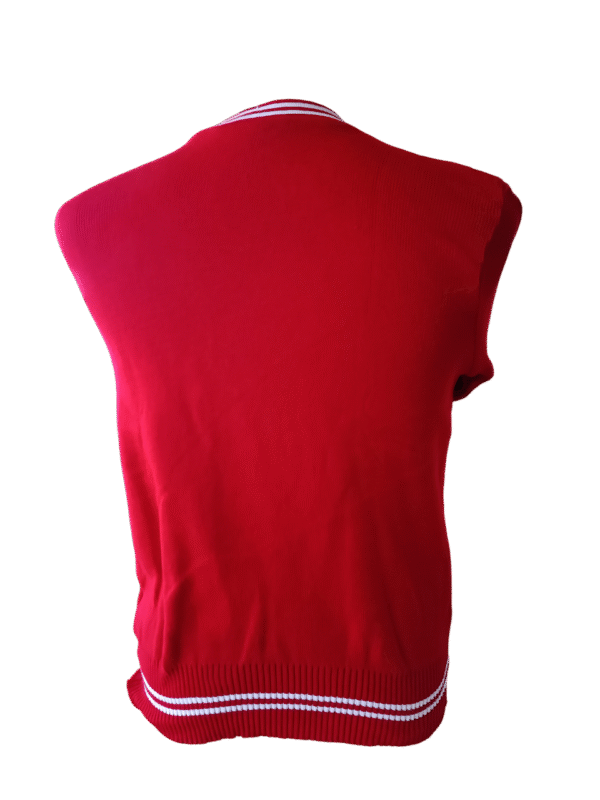 Prof Red and White Striped Jersey - Unisex - Image 2