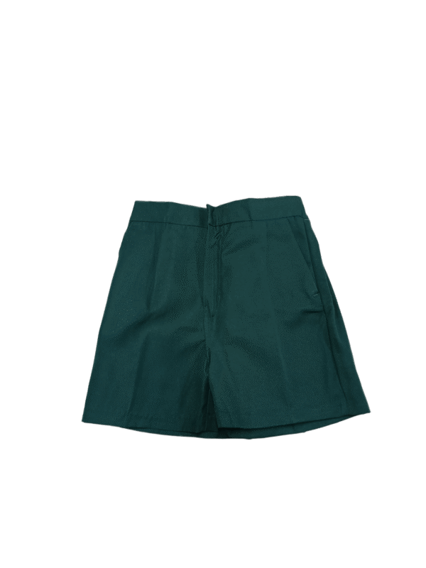 Prof School Short-Green