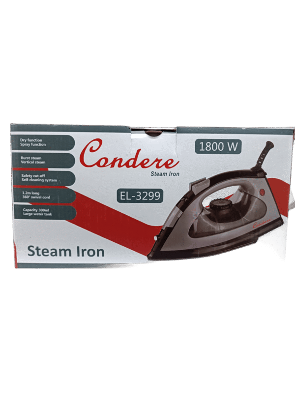 steam iron