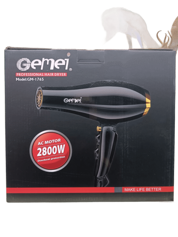 Gemei GM-1765 Professional Hair Dryer 2800W