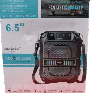 Fantastic Wireless Speaker 6,5 Inch